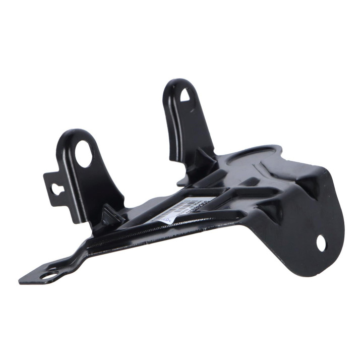 Bracket Volvo (30648920)