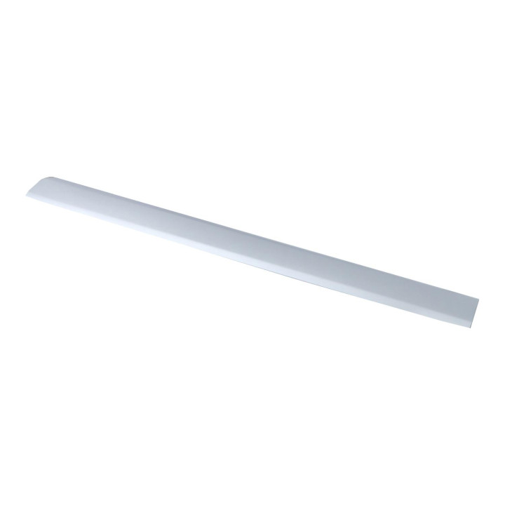Trim moulding Volvo (39821323)