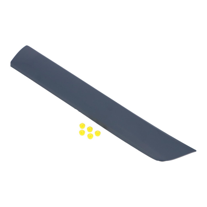 Trim moulding Volvo (39822647)