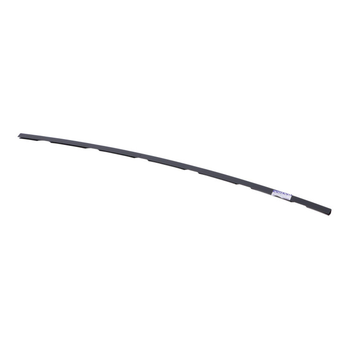Strip retainer Volvo (3509623)