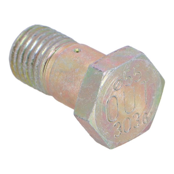 Hollow screw Volvo (844237)