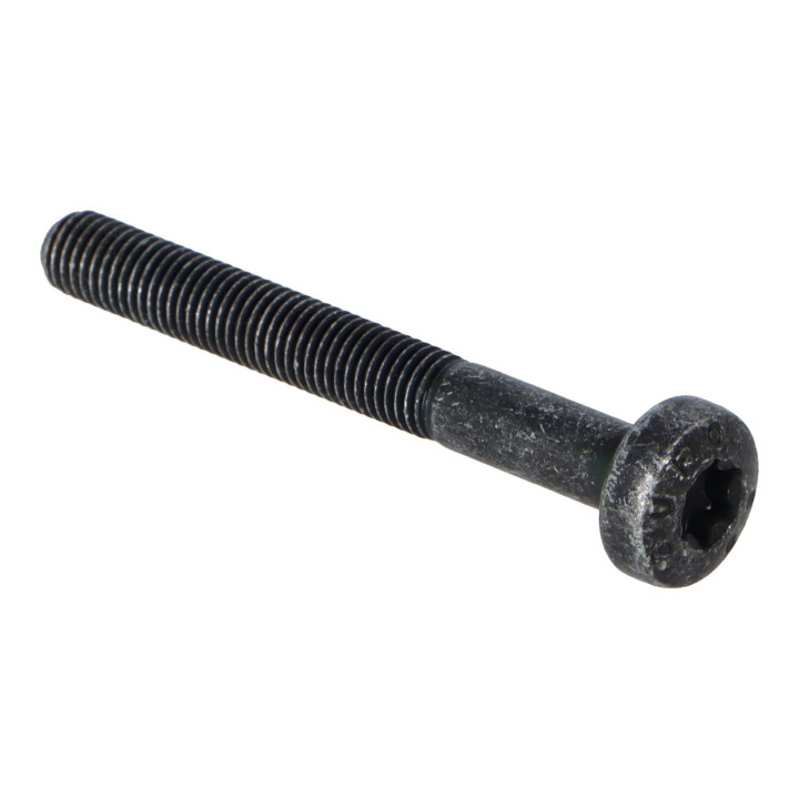 Six point socket screw Volvo (986234)