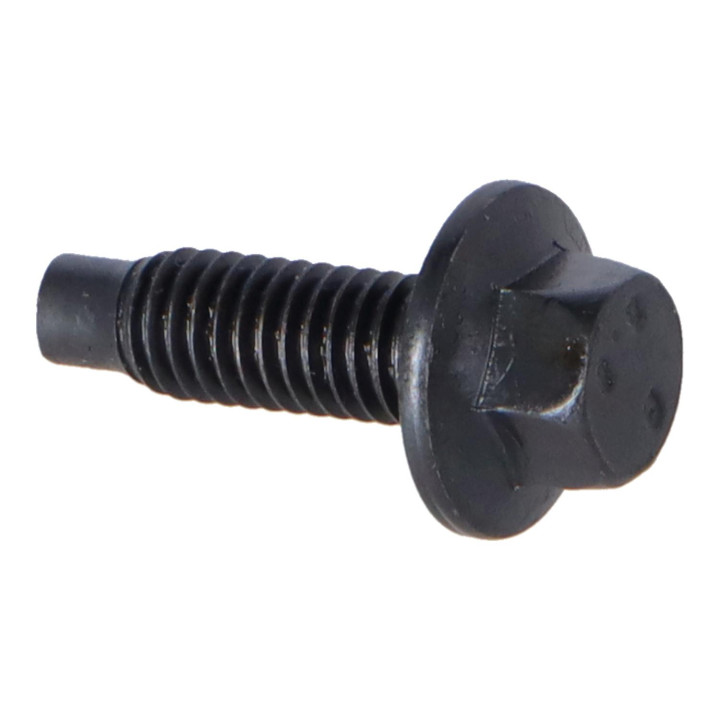 Flange screw Volvo (30723307)