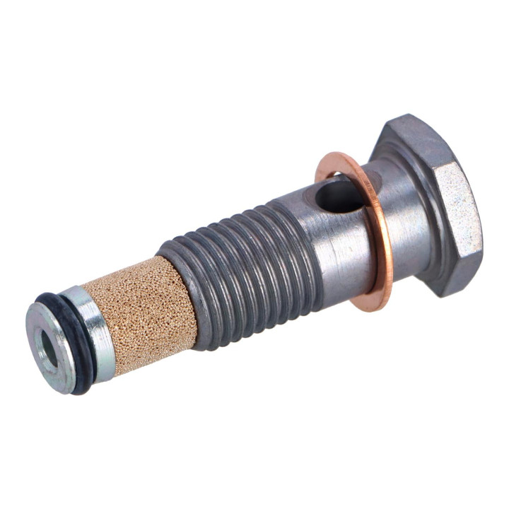 Hollow screw Volvo (30662339)