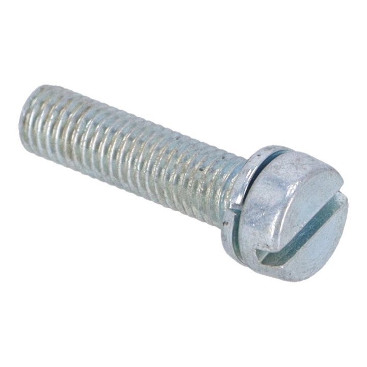 Screw Volvo (237926)