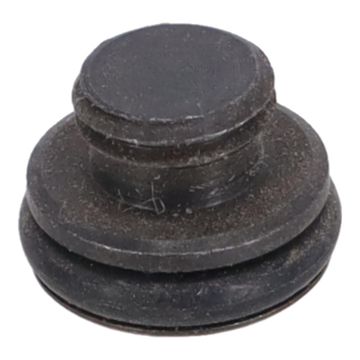 Adjusting screw Volvo (237806)