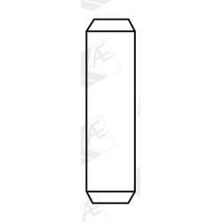 Prowadnica zaworu AE VAG96408