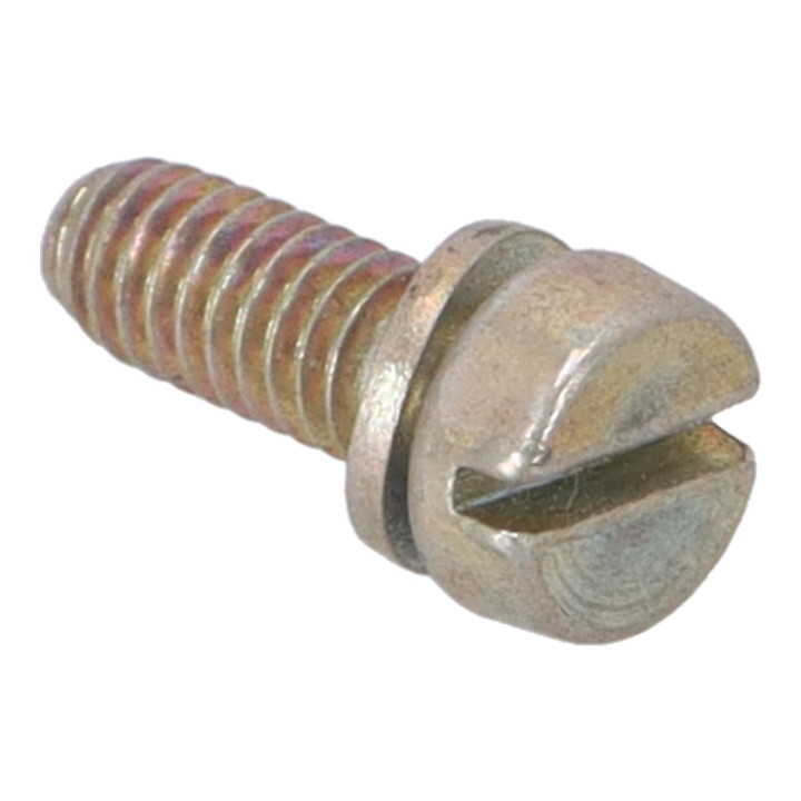 Screw Volvo (237761)