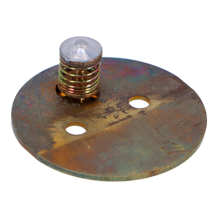 Throttle disc Volvo (237851)