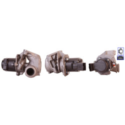 Zawór spalin EGR DRI 717720002