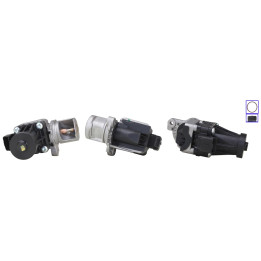 Zawór spalin EGR DRI 717730458