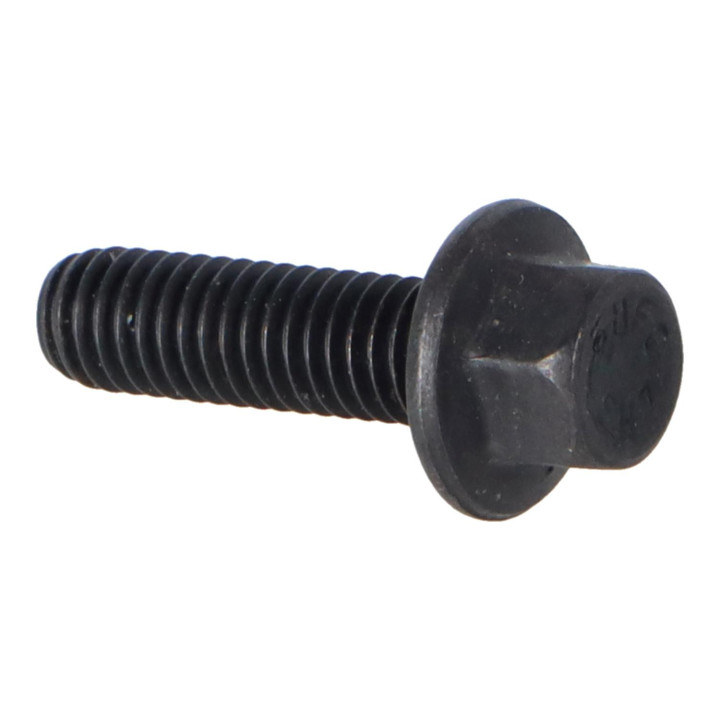 Flange screw Volvo (30624553)