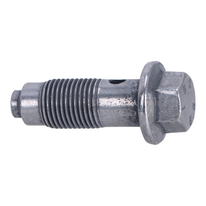 Hollow screw Volvo (30725247)