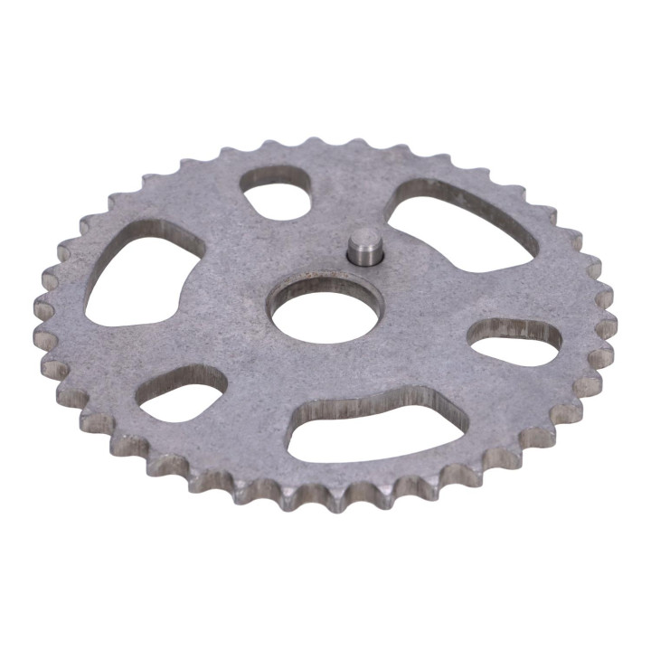 Chain gear Volvo (247955)