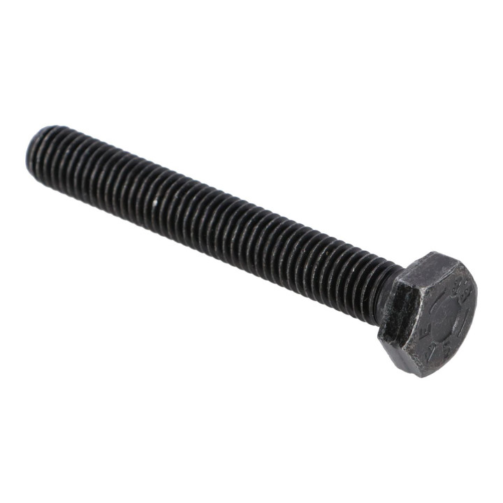Hexagon screw Volvo (973246)