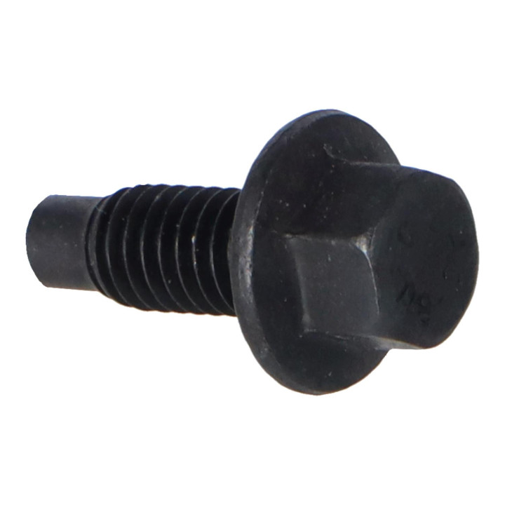 Flange screw Volvo (30624552)