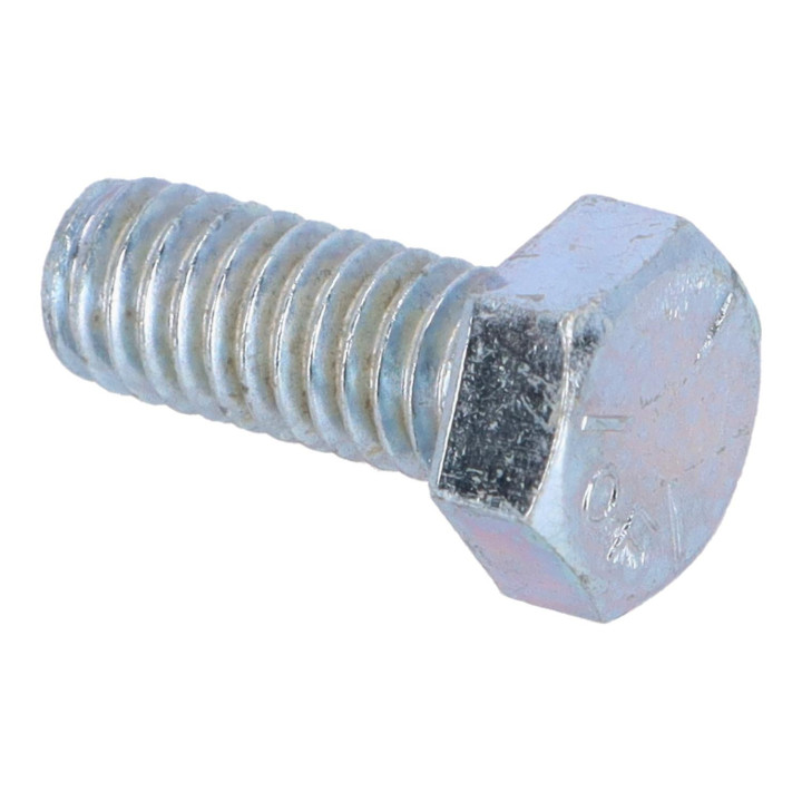 Hexagon screw Volvo (955524)