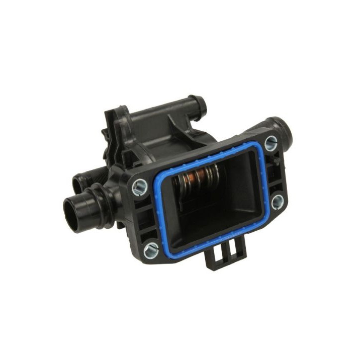Termostat THERMOTEC D2C009TT
