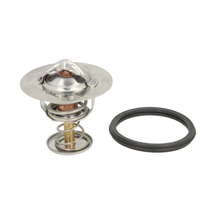 Termostat THERMOTEC D25001TT