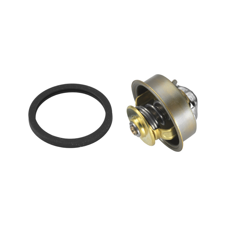 Termostat WAHLER 4089.87D