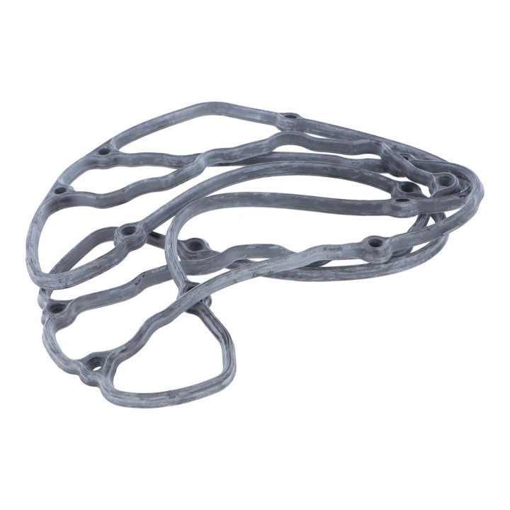 Gasket Volvo (30873424)
