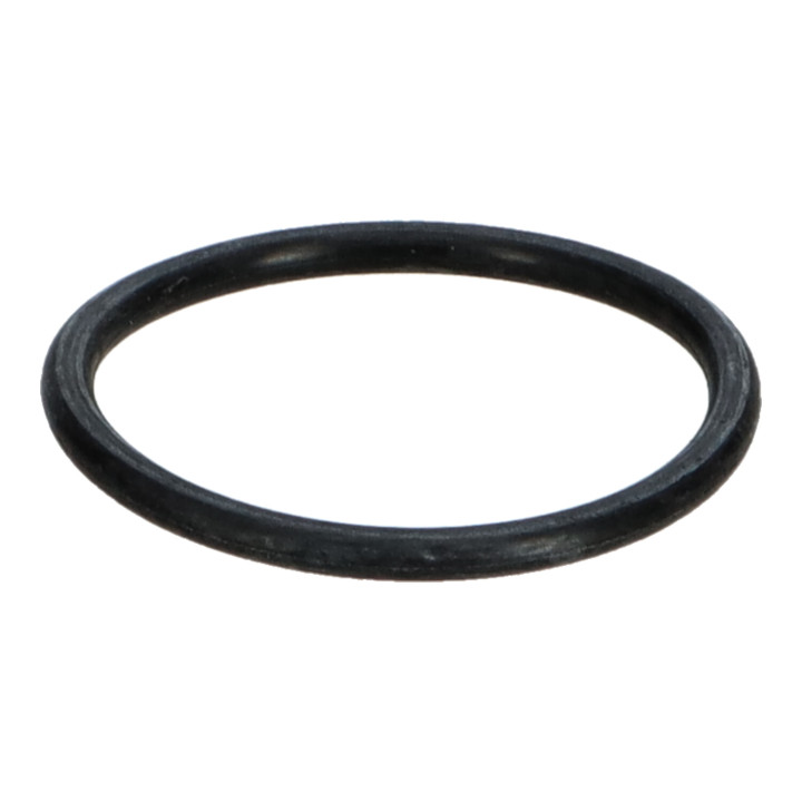 O-ring Volvo (975256)