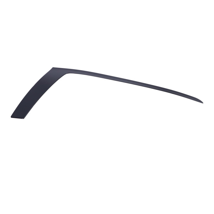 Trim moulding, right Volvo (9425927)