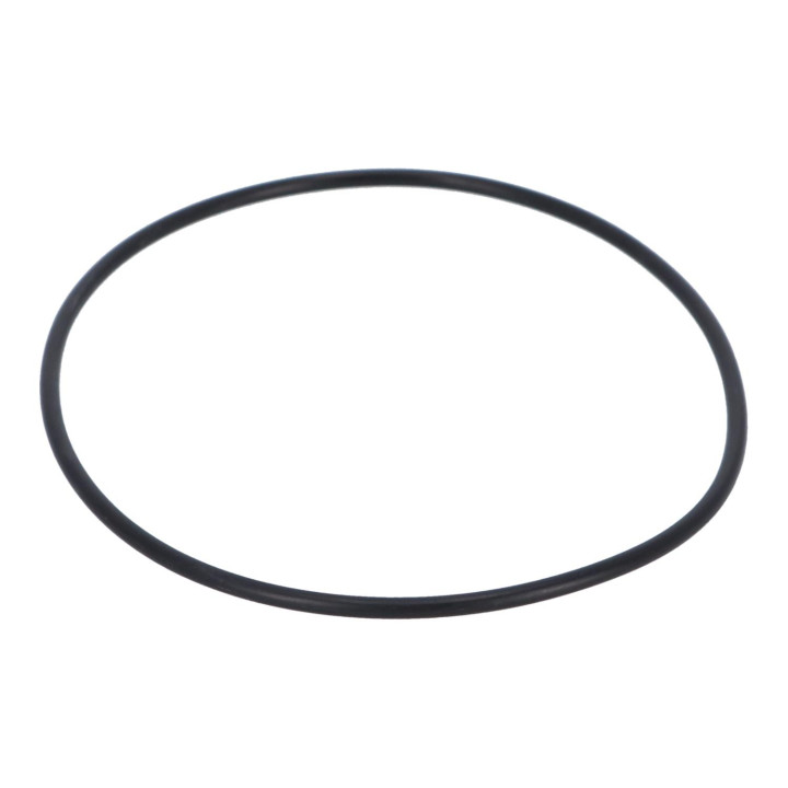 O-ring Volvo (925261)