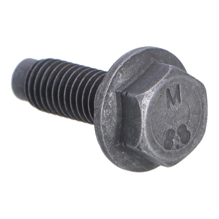 Flange screw Volvo (30725632)