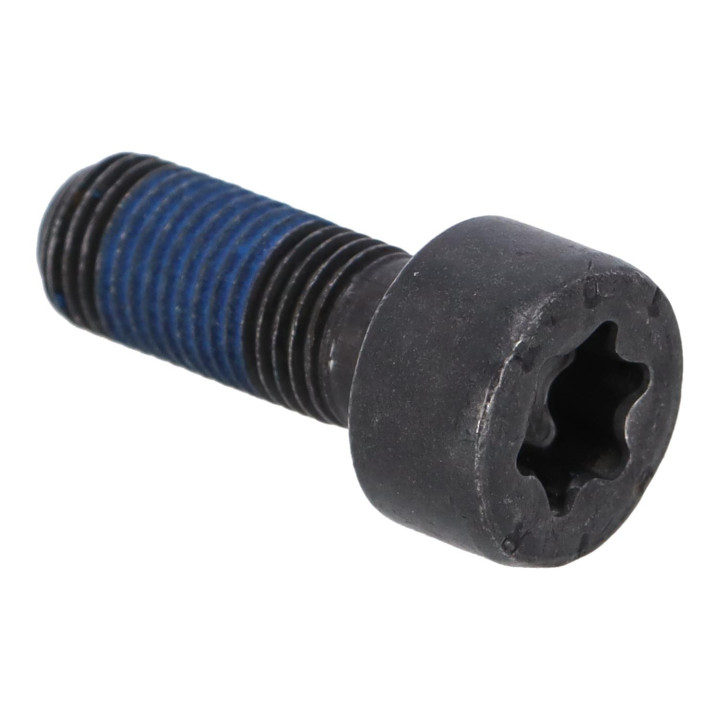 Six point socket screw Volvo (30725267)