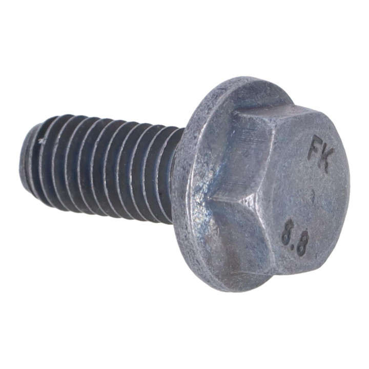Flange screw Volvo (30725078)