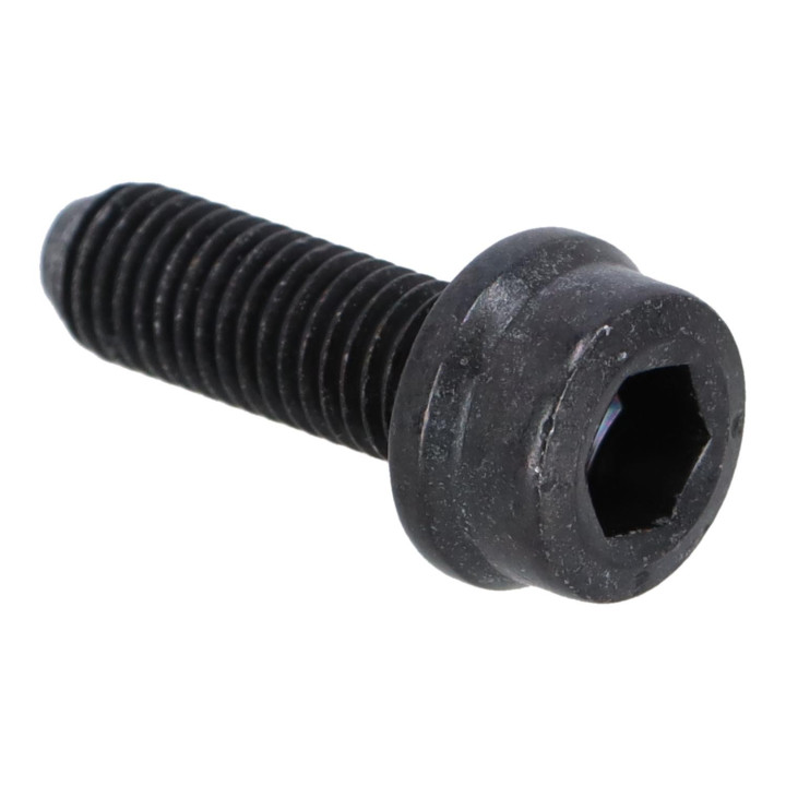 Flange screw Volvo (30725806)