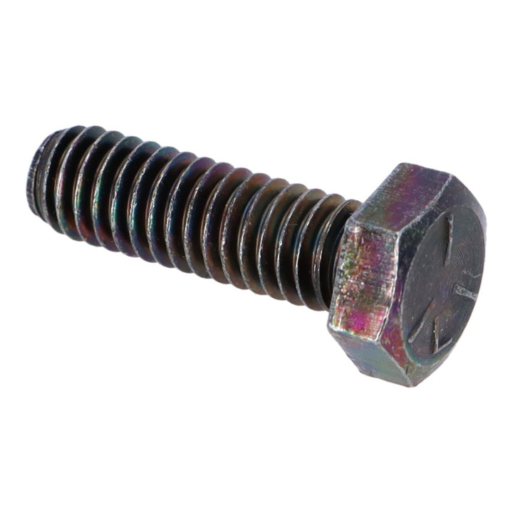 Hexagon screw Volvo (955525)