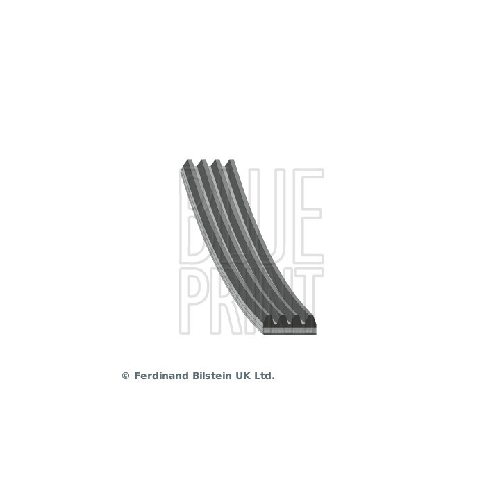 Pasek klinowy wielorowkowy BLUE PRINT AD04R641