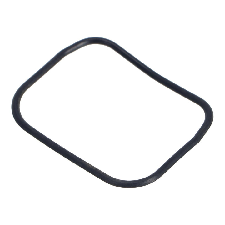 Gasket Volvo (269736)