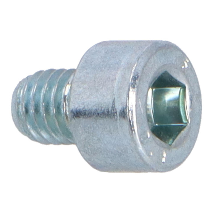 Six point socket screw Volvo (969526)
