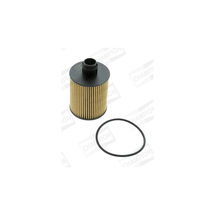 Filtr oleju CHAMPION COF100600E