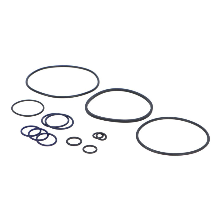 Gasket kit Volvo (273389)