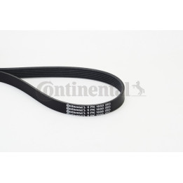 Pasek klinowy wielorowkowy CONTINENTAL CTAM 6PK1050