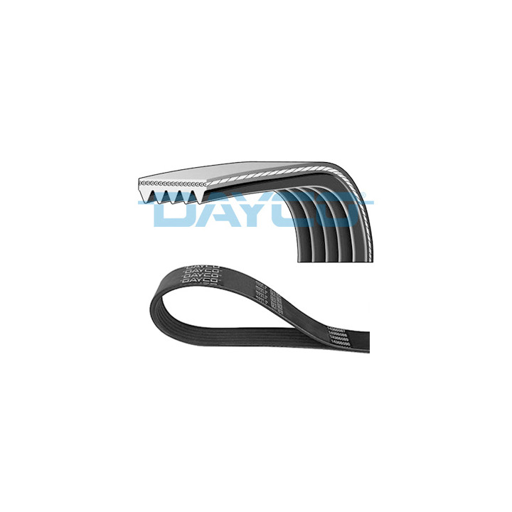 Pasek klinowy wielorowkowy DAYCO 5PK1240S