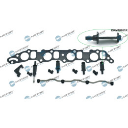 Zestaw naprawczy, moduł rury ssącej Dr.Motor Automotive DRM18801R