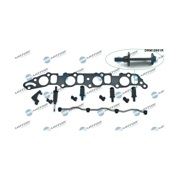 Zestaw naprawczy, moduł rury ssącej Dr.Motor Automotive DRM18801R