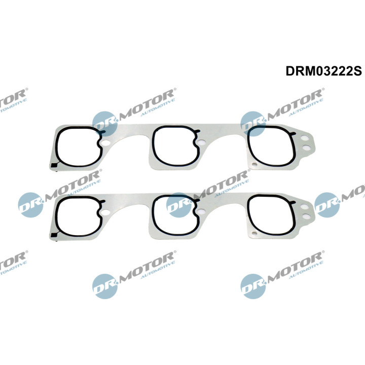 Zestaw uszczelek kolektora dolotowego Dr.Motor Automotive DRM03222S