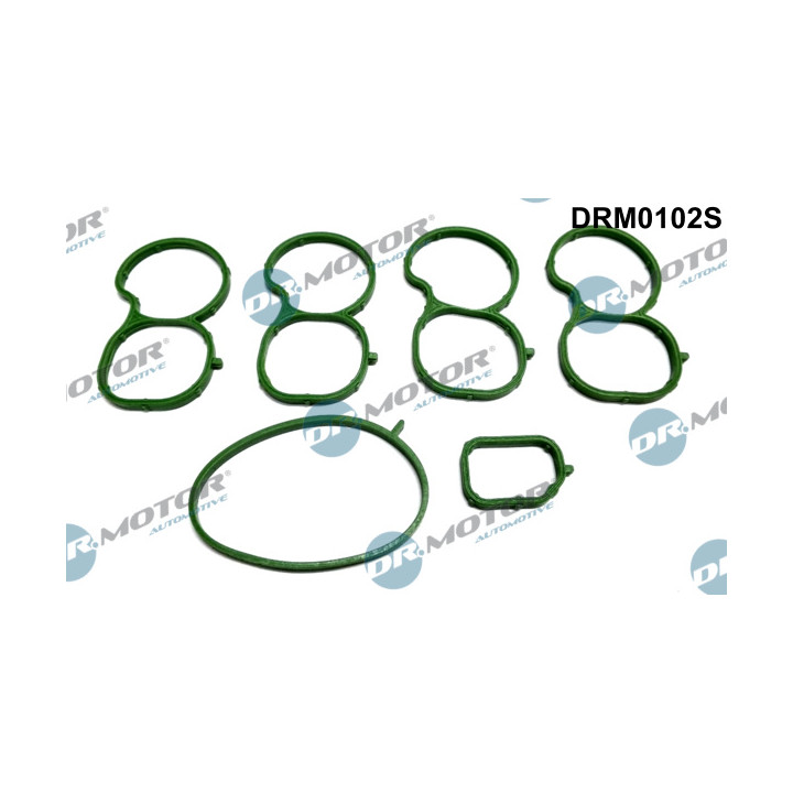 Zestaw uszczelek kolektora dolotowego Dr.Motor Automotive DRM0102S