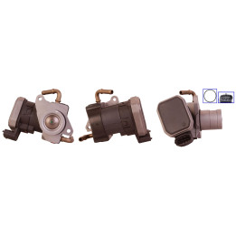 Zawór spalin EGR DRI 717730016
