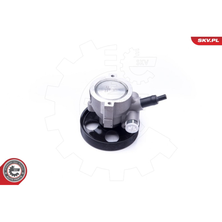 Pompa wspomagania ESEN SKV 10SKV281