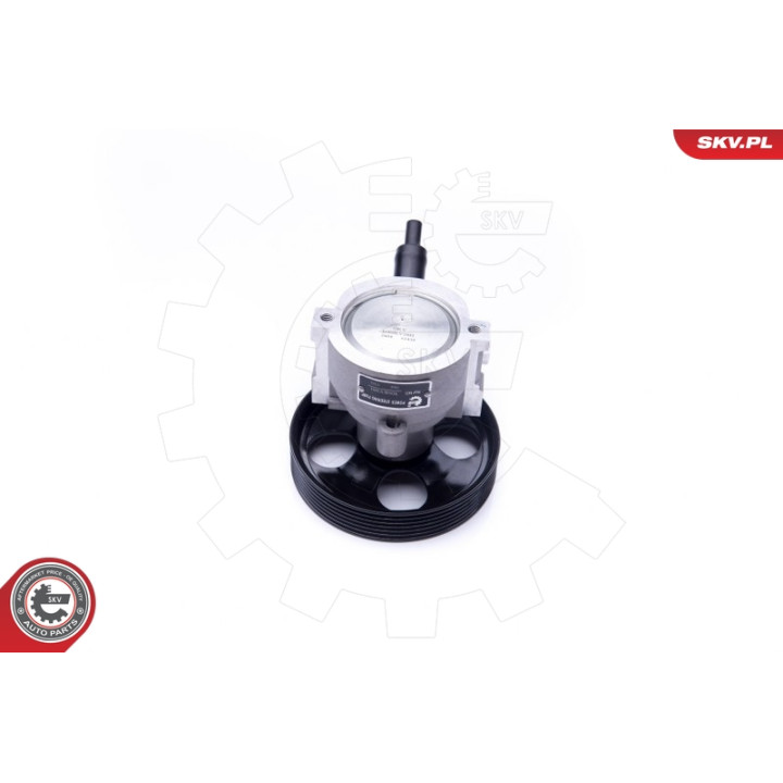 Pompa wspomagania ESEN SKV 10SKV281