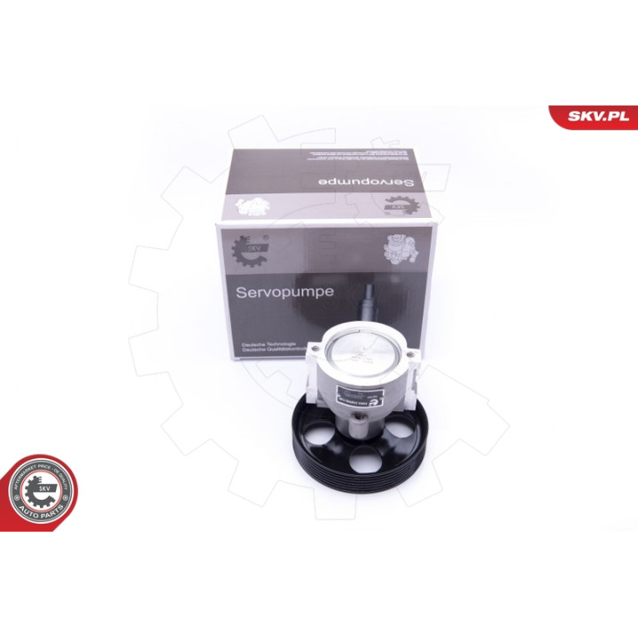 Pompa wspomagania ESEN SKV 10SKV281
