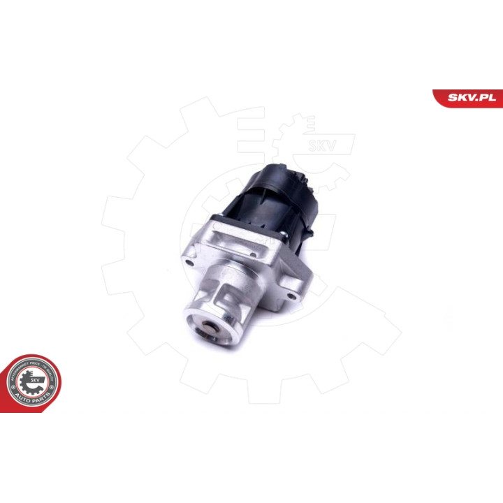 Zawór spalin EGR ESEN SKV 14SKV217