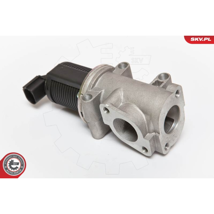 Zawór spalin EGR ESEN SKV 14SKV055